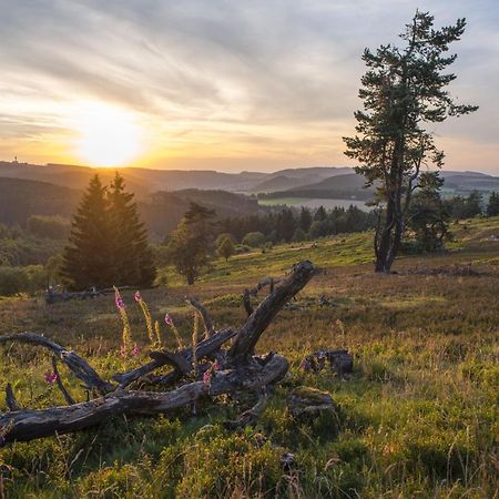 Fewo Poenblick Willingen  Luaran gambar