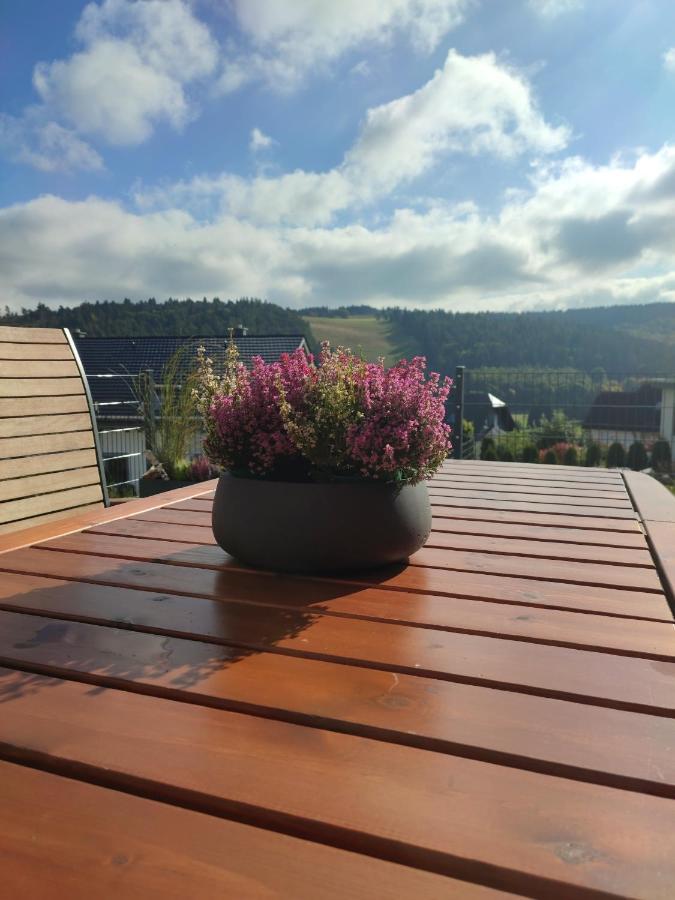 Fewo Poenblick Willingen  Luaran gambar